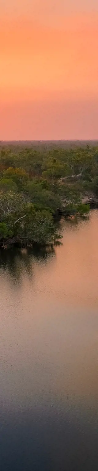 Spaziere zwischen mit Wasserlilien bedeckten Billabongs